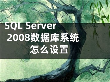 SQL Server 2008数据库系统怎么设置 