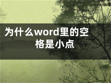 为什么word里的空格是小点