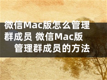 微信Mac版怎么管理群成员 微信Mac版管理群成员的方法
