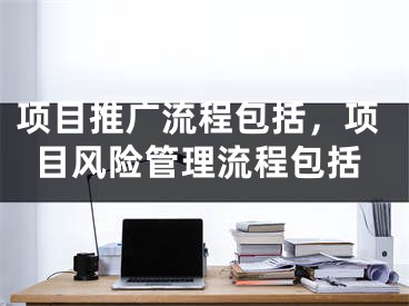 项目推广流程包括，项目风险管理流程包括