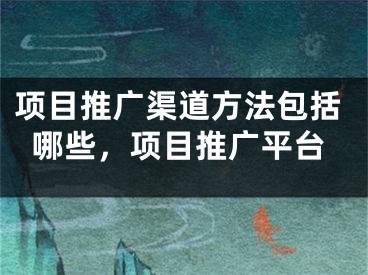 项目推广渠道方法包括哪些，项目推广平台 