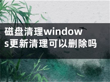 磁盘清理windows更新清理可以删除吗