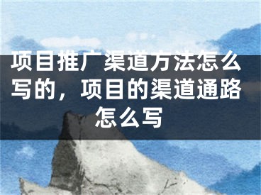 项目推广渠道方法怎么写的，项目的渠道通路怎么写