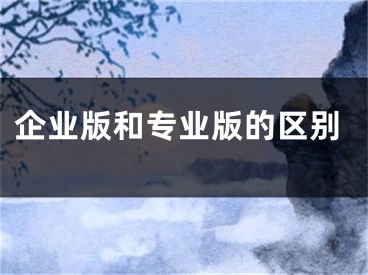 企业版和专业版的区别