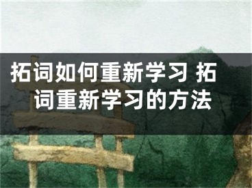 拓词如何重新学习 拓词重新学习的方法