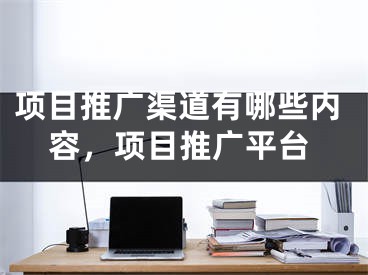 项目推广渠道有哪些内容，项目推广平台