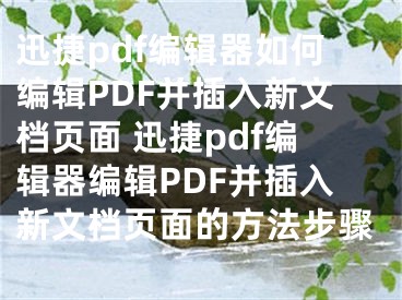 迅捷pdf编辑器如何编辑PDF并插入新文档页面 迅捷pdf编辑器编辑PDF并插入新文档页面的方法步骤