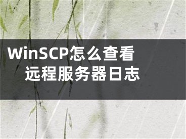 WinSCP怎么查看远程服务器日志 