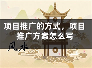 项目推广的方式，项目推广方案怎么写 