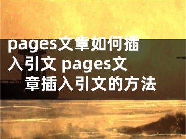 pages文章如何插入引文 pages文章插入引文的方法