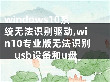 windows10系统无法识别驱动,win10专业版无法识别usb设备和u盘