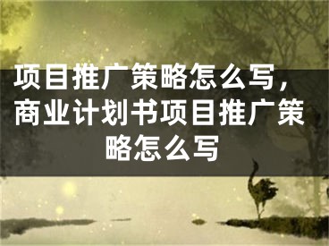 项目推广策略怎么写，商业计划书项目推广策略怎么写