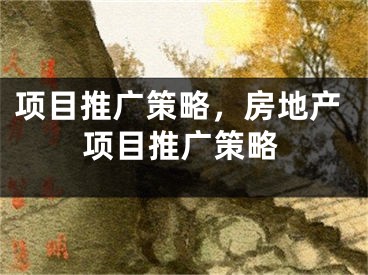 项目推广策略，房地产项目推广策略