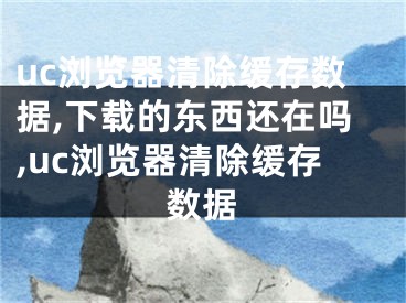 uc浏览器清除缓存数据,下载的东西还在吗,uc浏览器清除缓存数据 