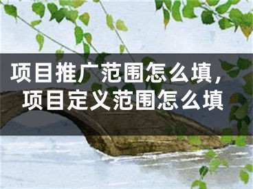 项目推广范围怎么填，项目定义范围怎么填