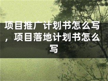 项目推广计划书怎么写，项目落地计划书怎么写
