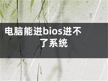 电脑能进bios进不了系统