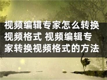 视频编辑专家怎么转换视频格式 视频编辑专家转换视频格式的方法