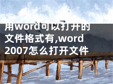 用word可以打开的文件格式有,word2007怎么打开文件