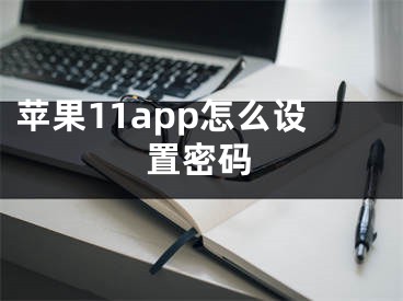 苹果11app怎么设置密码 