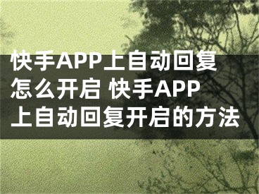 快手APP上自动回复怎么开启 快手APP上自动回复开启的方法