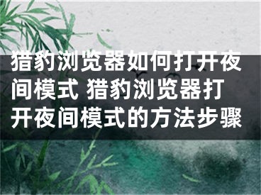猎豹浏览器如何打开夜间模式 猎豹浏览器打开夜间模式的方法步骤