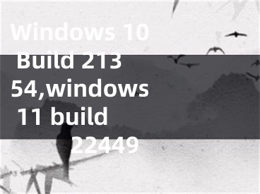 Windows 10 Build 21354,windows 11 build 22449