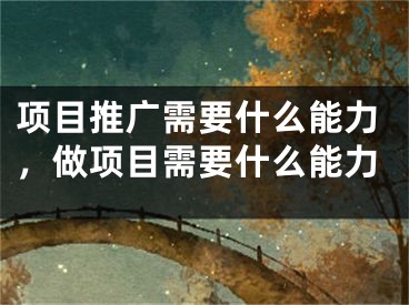 项目推广需要什么能力，做项目需要什么能力