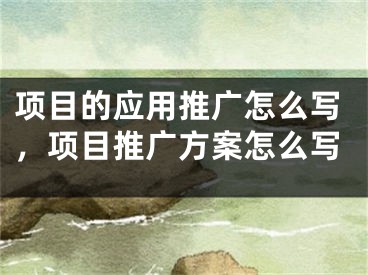 项目的应用推广怎么写，项目推广方案怎么写