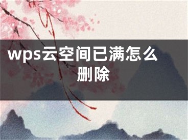 wps云空间已满怎么删除