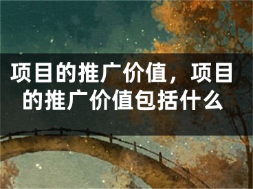 项目的推广价值，项目的推广价值包括什么