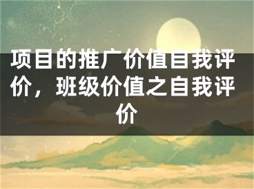 项目的推广价值自我评价，班级价值之自我评价 