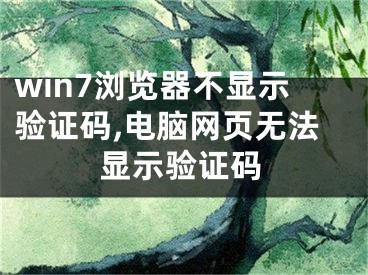 win7浏览器不显示验证码,电脑网页无法显示验证码