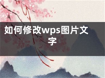 如何修改wps图片文字