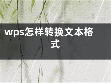 wps怎样转换文本格式