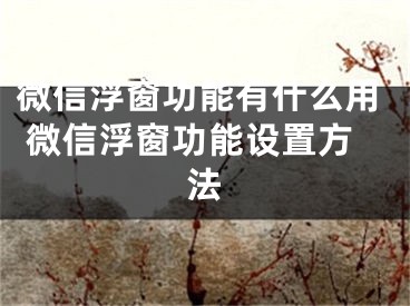 微信浮窗功能有什么用 微信浮窗功能设置方法