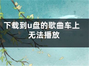 下载到u盘的歌曲车上无法播放