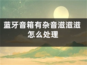 蓝牙音箱有杂音滋滋滋怎么处理