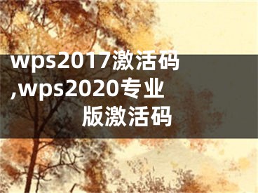 wps2017激活码,wps2020专业版激活码