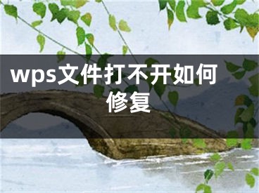 wps文件打不开如何修复