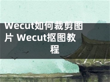 Wecut如何裁剪图片 Wecut抠图教程