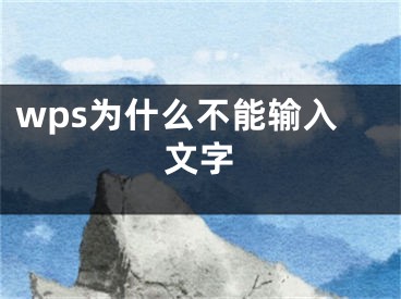 wps为什么不能输入文字
