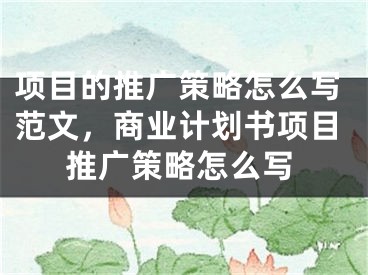 项目的推广策略怎么写范文，商业计划书项目推广策略怎么写