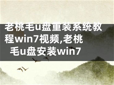 老桃毛u盘重装系统教程win7视频,老桃毛u盘安装win7