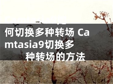 Camtasia9如何切换多种转场 Camtasia9切换多种转场的方法