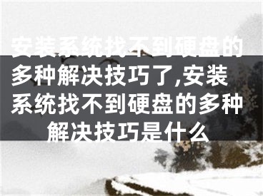 安装系统找不到硬盘的多种解决技巧了,安装系统找不到硬盘的多种解决技巧是什么 