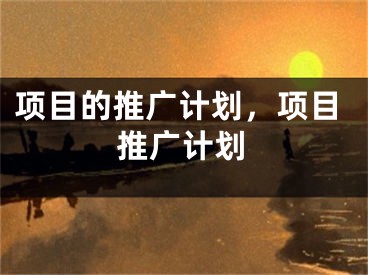 项目的推广计划，项目推广计划