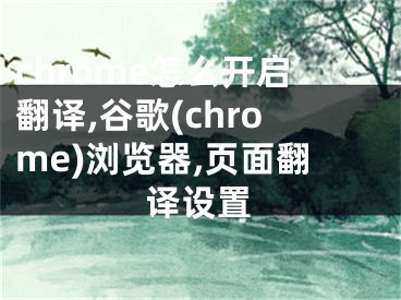 chrome怎么开启翻译,谷歌(chrome)浏览器,页面翻译设置