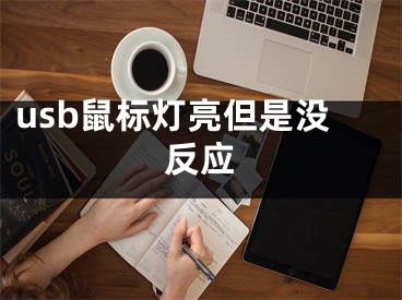 usb鼠标灯亮但是没反应