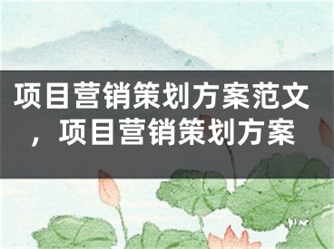 项目营销策划方案范文，项目营销策划方案